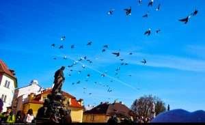 Best time to visit Prague
