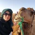women only travel group with camel